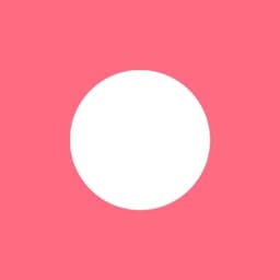Punctul
