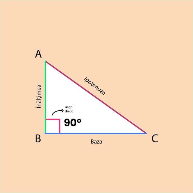 Calcularea ariei în triunghiul dreptunghic